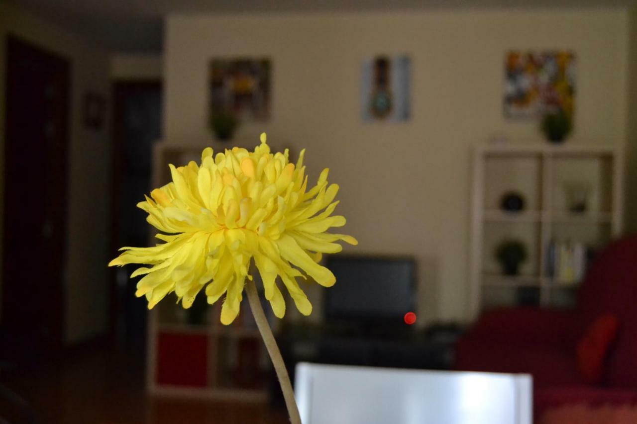 Apartamento Turistico Dct. Creus Guadalajara Kültér fotó